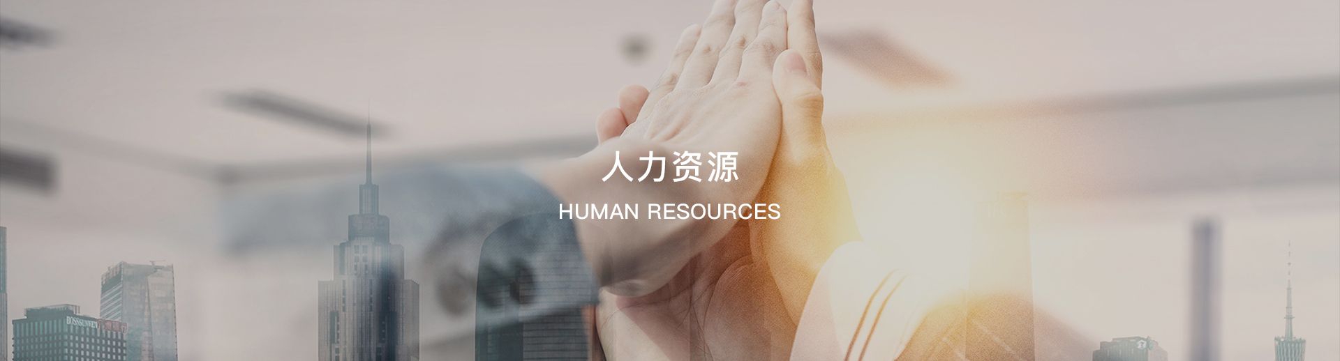 人力资源