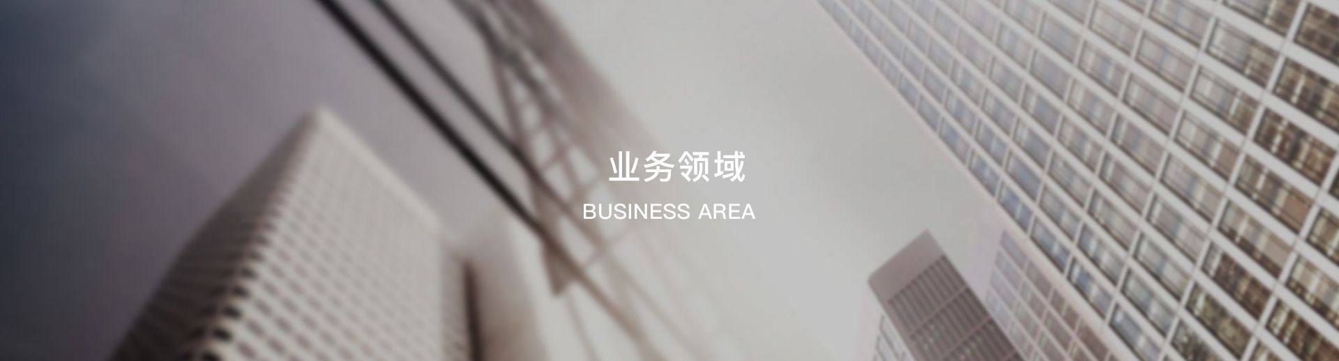 业务领域