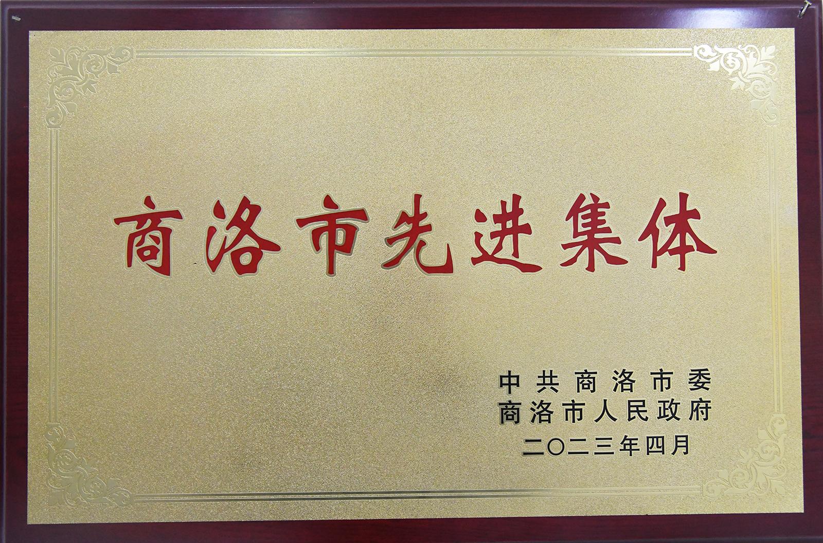 商洛市先进集体
