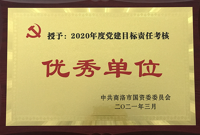 公司党总支2020年党建目标责任考核获上级表彰