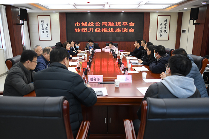 市国资委在公司召开融资平台转型升级推进座谈会